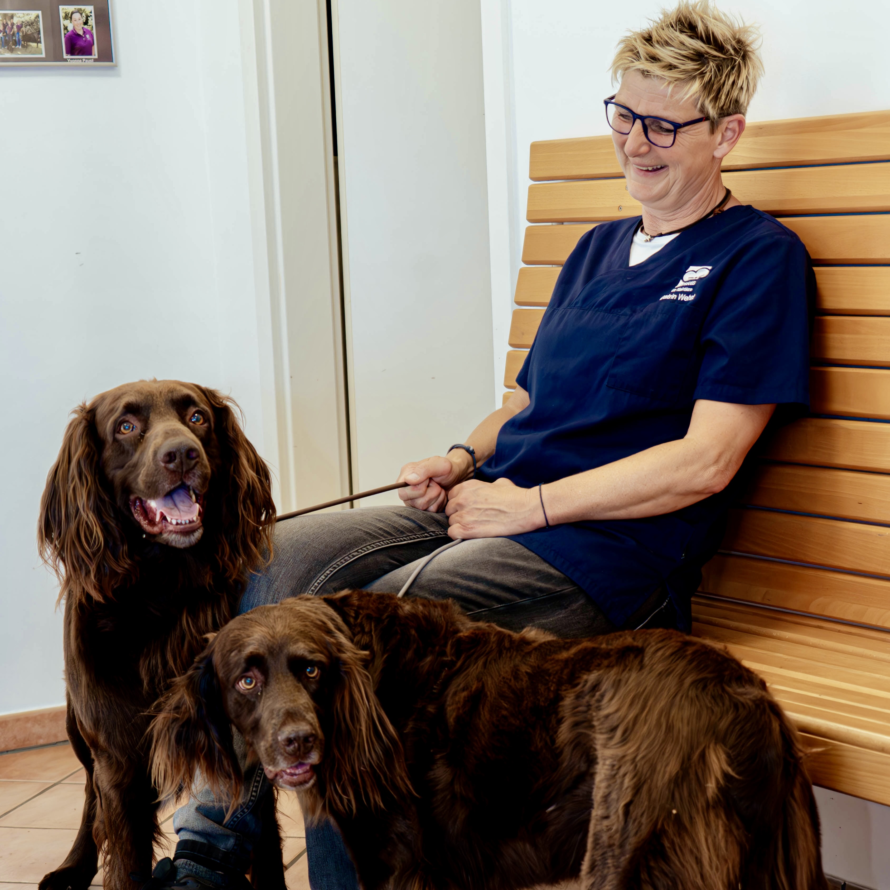 Wartezimmer Tierarzt Apensen